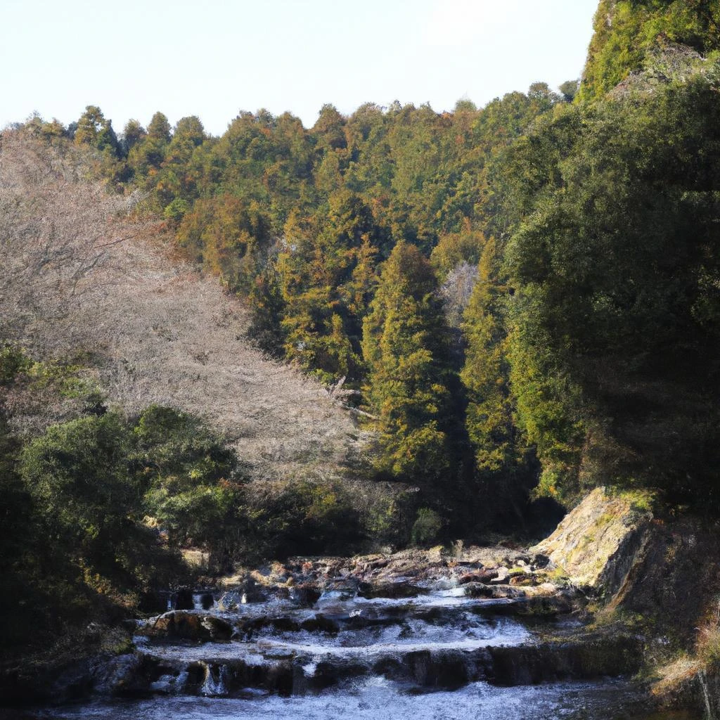 「石川県であなたの思い出を大切に整理します」